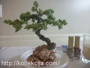 Bonsai származó függő saját kezűleg