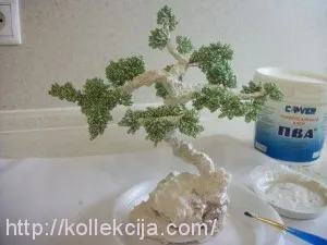 Bonsai származó függő saját kezűleg