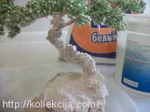 Bonsai származó függő saját kezűleg