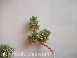 Bonsai származó függő saját kezűleg