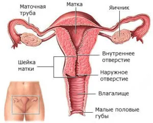 vese fáj a menstruáció előtt okokból szükség van, hogy nem