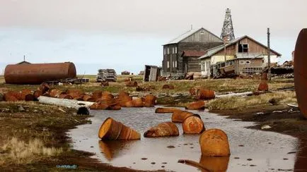 Bolshezemelskaya Tundra природни характеристики