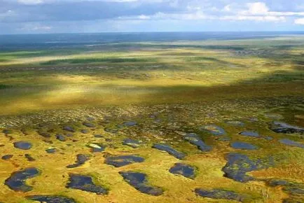 Bolshezemelskaya Tundra природни характеристики