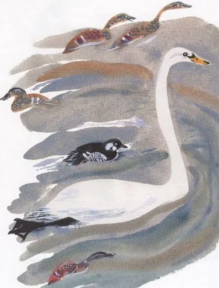 Charushin Юджийн Heron