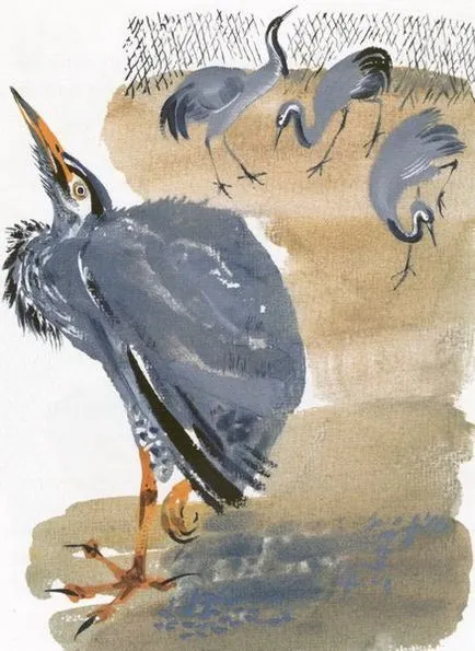 Charushin Юджийн Heron