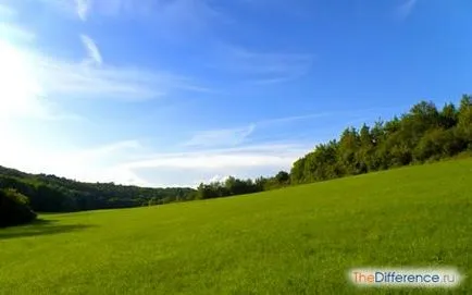 A különböző talaj-levegő környezetben a vizes