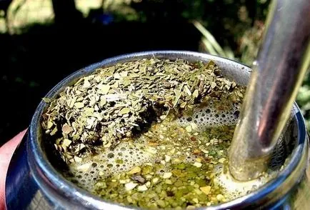 Mate tea hasznos tulajdonságok, mint a make és inni, vélemények