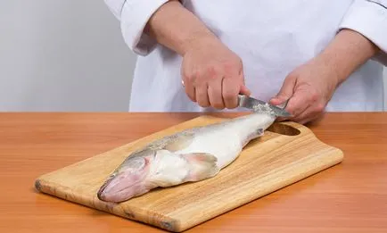 Chistilka kézikönyv a halak, elektromos, hogyan lehet a saját kezét, tippeket tisztító hal