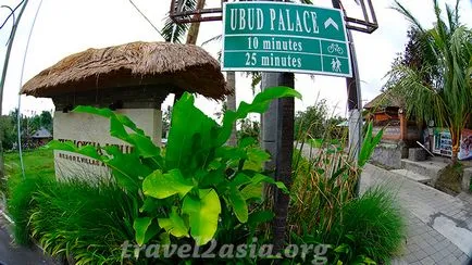 Amit látni Ubud legendás rizsföldek - travel2asia