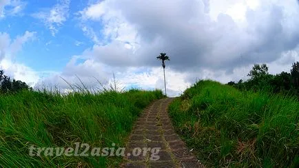 Amit látni Ubud legendás rizsföldek - travel2asia