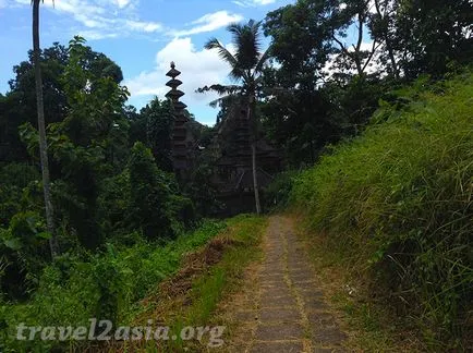 Ce să vezi în câmpurile de orez legendarul Ubud - travel2asia