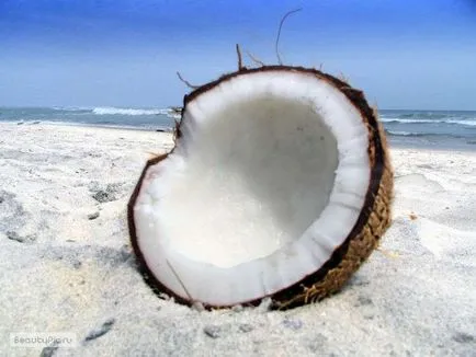 Какво е вътре дяволите кокосовата