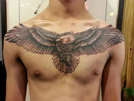 Mit jelent a tetoválás egy toll a madarak - értéke tetoválás madár - Egészség és Orvostudomány - mindkettő