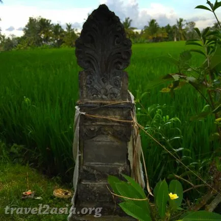 Amit látni Ubud legendás rizsföldek - travel2asia