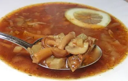 Supa de reteta uscate agarics miere cu o fotografie
