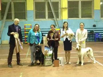 Prize pentru spectacole de câine