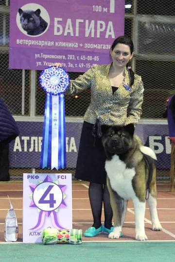 Prize pentru spectacole de câine