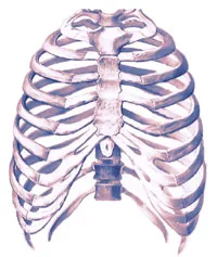 Diszpláziás scoliosis - parti púp