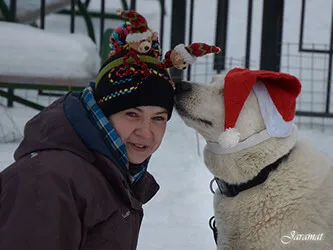 Dog de formare în Kuzminki de la 1600 de ruble! PUSH!