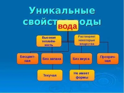 В доклад на водата - уникален източник на живота на Земята