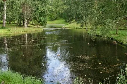 Palace Park din Gatcina Lake, Birch House, Venus pavilion, labirint de apa