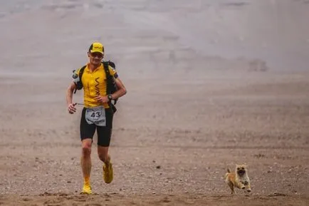 Extreme маратонец вземе бездомно куче, бягане с него през пустинята Гоби - интересно