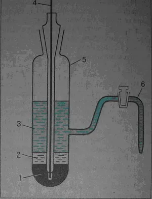 Electrozii și potențialul