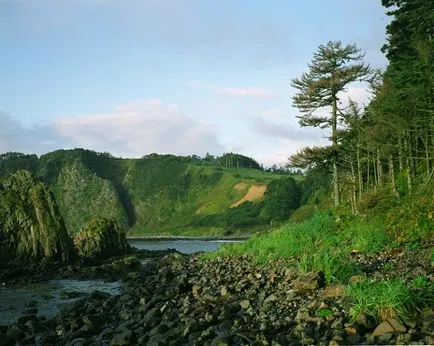 Elena Masuk Kuriles