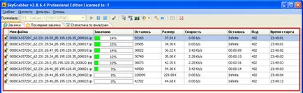 Operatorul Federal de internet prin satelit Raduga