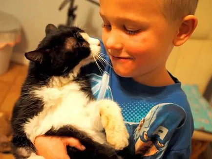 Тази 20-годишна котка от приют е променила живота си към по-добро - най-добрите истории от живота си