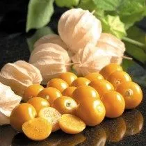 Physalis - finom bogyó a „kínai lámpás”