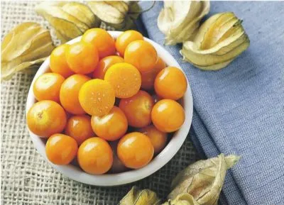 Physalis (ананас, ягода, разсад) отглеждане и поддръжка, че тя е като расте