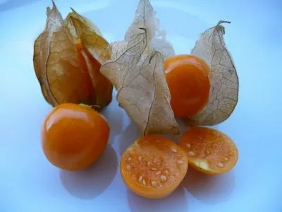 Physalis (ананас, ягода, разсад) отглеждане и поддръжка, че тя е като расте