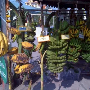 Fructe în Thailanda - de vacanță în Phuket