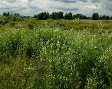 Amennyiben a földnek szabad felhasználásra 2017-ben