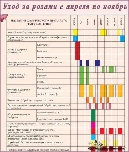 Градинарство, катерене роза грижи