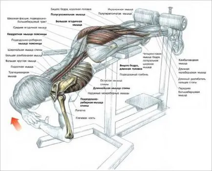 coloanei vertebrale lombare și hiperextensie hernie hernie intervertebral