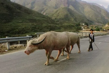 Sapa (Vietnam) látnivalók - trekking és látni