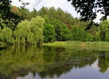Holosiivskyi парк в Киев