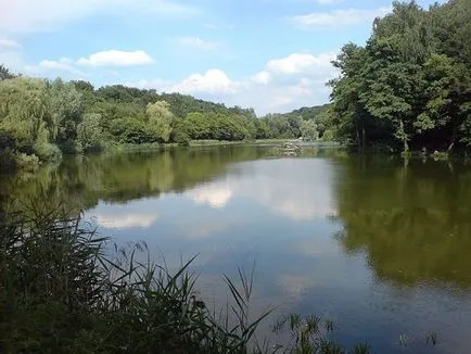 parc Holosiivskyi în Kiev