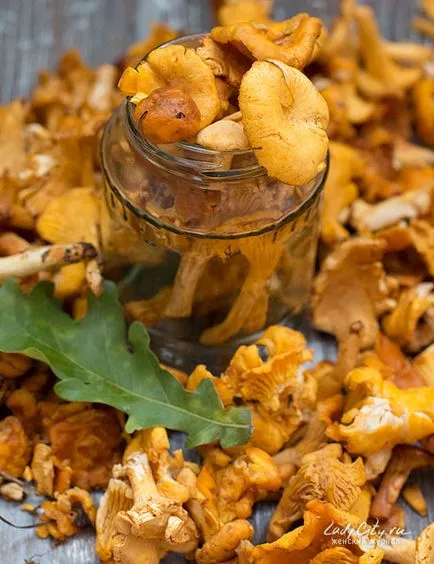 Готвене лисици 10 ястия chantarelle