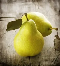 Pear - bun, proprietățile utile, calorice, soiuri populare, contraindicații