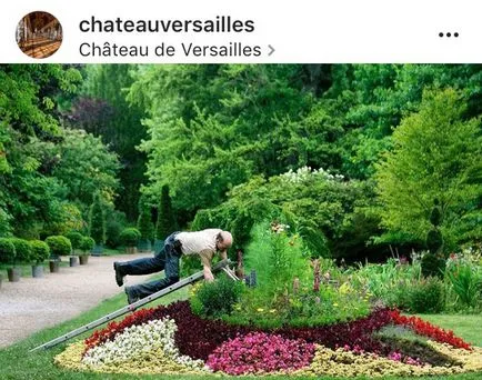 Instaweek mi történt a művészeti világ egy hétig - artandhouses