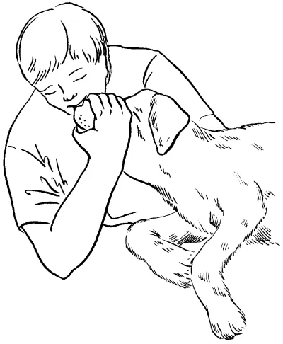 Изкуствено дишане и сърдечен масаж - ветеринарен справочник за собственици на кучета