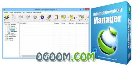 Internet Download Manager