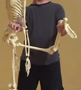 Yoga și pelvis