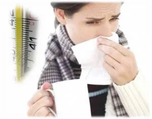 Mi az a hőmérséklet, a sertésinfluenza-vírus elegendő halál
