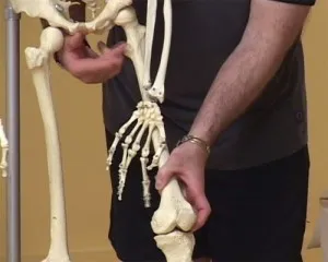 Yoga și pelvis