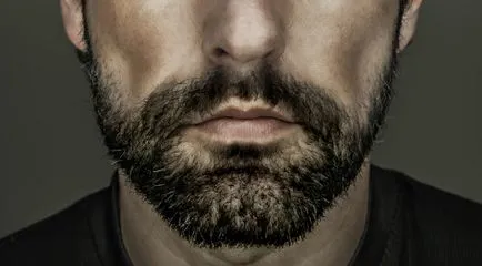 Какво брада ще бъде от значение през 2016 г., както и списание 18 мъже
