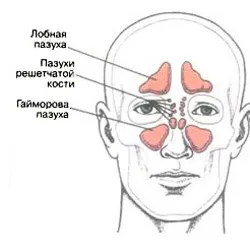 Cum de a trata o curge ogivele medicament - Director Articole